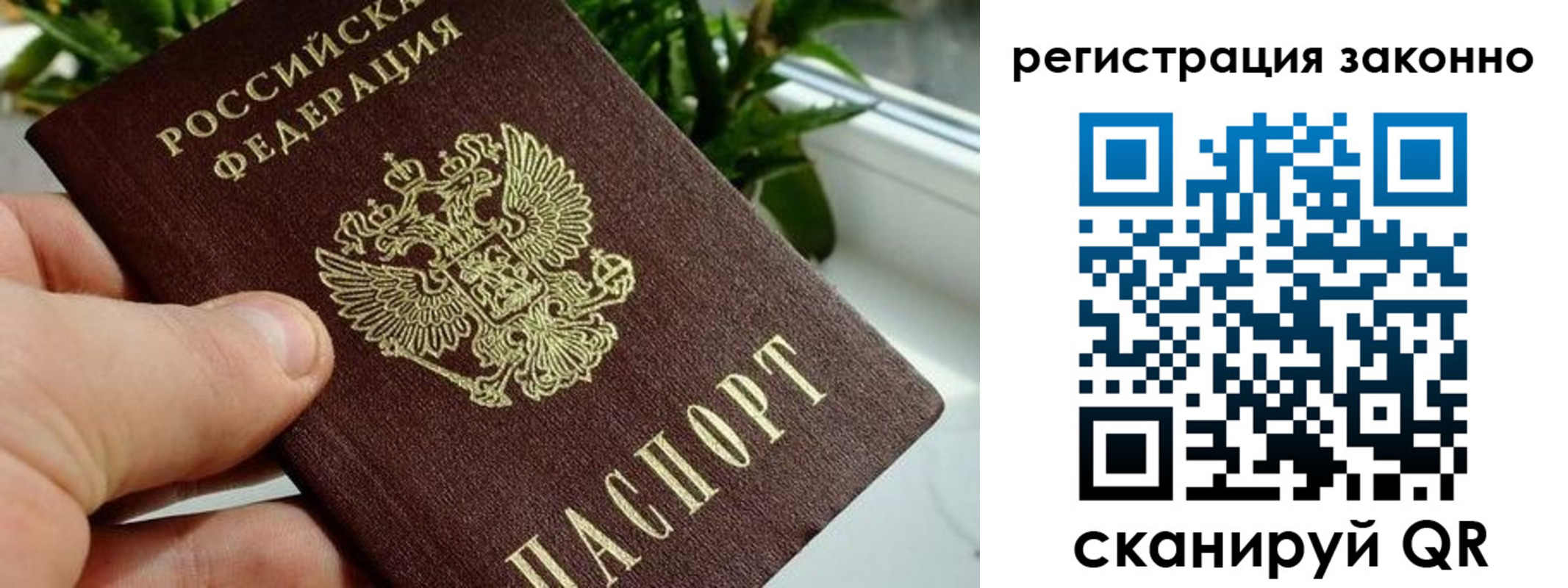 прописка гарантия в Дятьково
